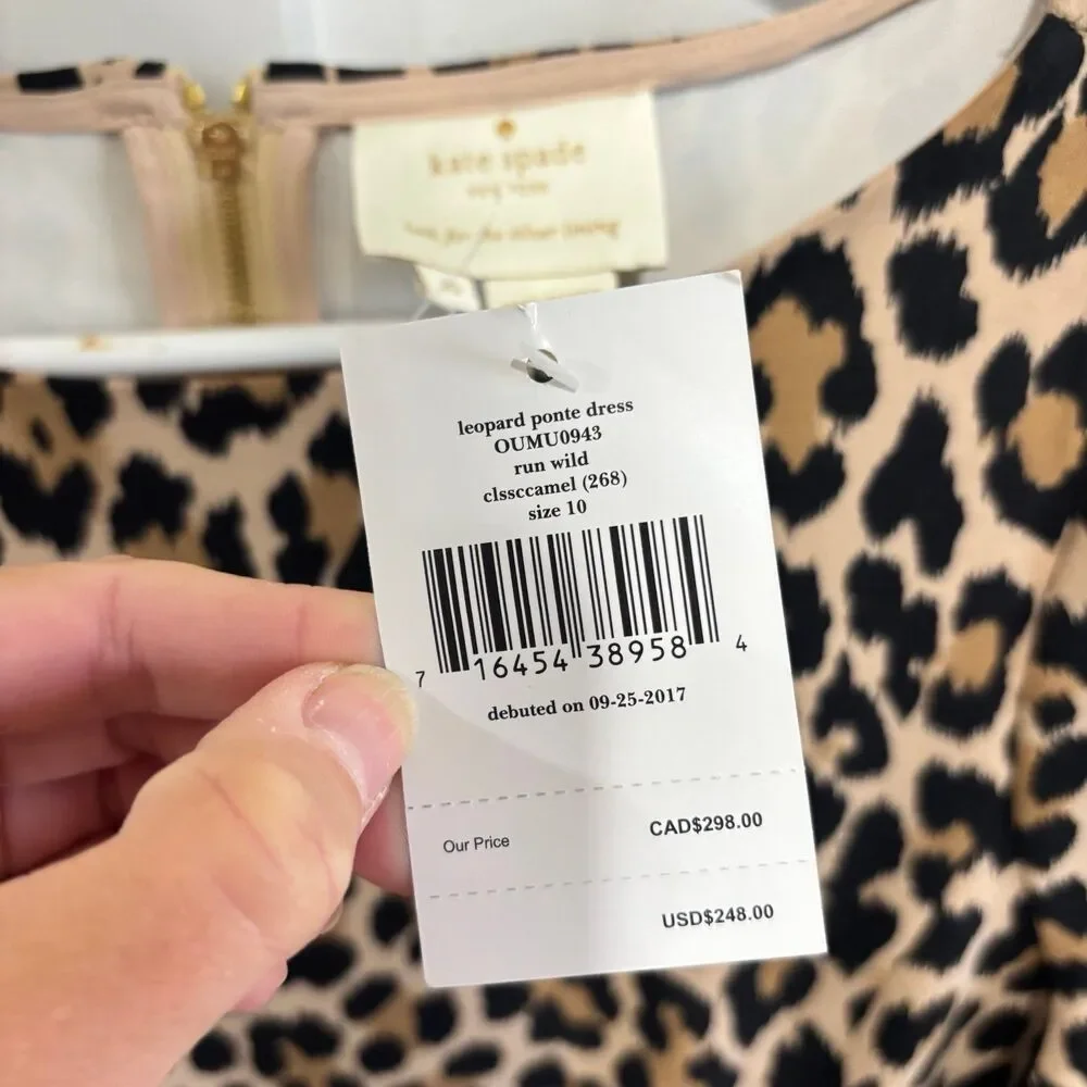 kate spade brand kate